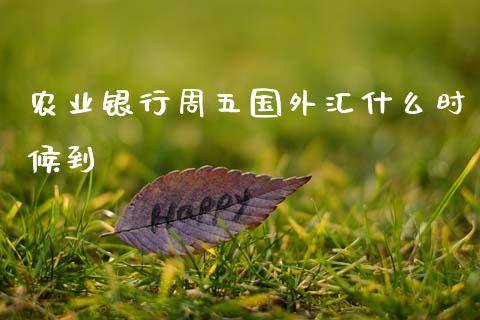 农业银行周五国外汇什么时候到_https://m.ycdhulan.com_证券新闻_第1张