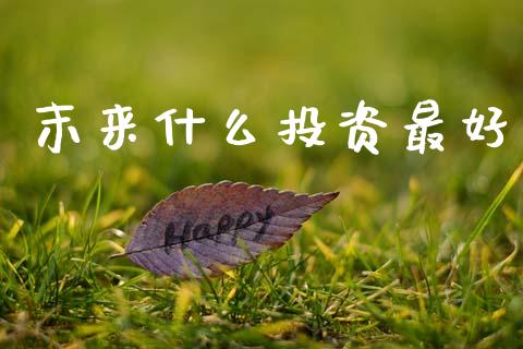 末来什么投资最好_https://m.ycdhulan.com_国际金融_第1张