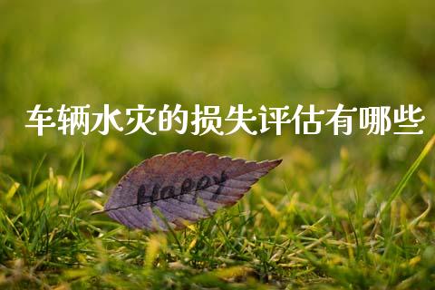 车辆水灾的损失评估有哪些_https://m.ycdhulan.com_理财产品_第1张