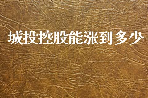 城投控股能涨到多少_期货交易_第1张_财经要闻_股市在线_理财产品_国际金融 城投控股能涨到多少_https://m.ycdhulan.com_期货交易_第1张
