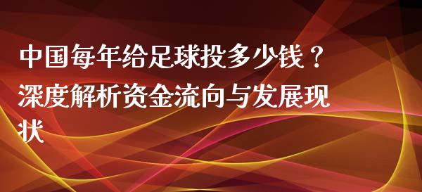 中国每年给足球投多少钱？深度解析资金流向与发展现状_https://m.ycdhulan.com_理财产品_第1张