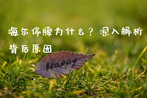 海尔停牌为什么？深入解析背后原因_https://m.ycdhulan.com_国际金融_第1张