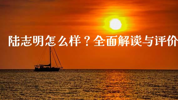 陆志明怎么样？全面解读与评价_https://m.ycdhulan.com_财经要闻_第1张