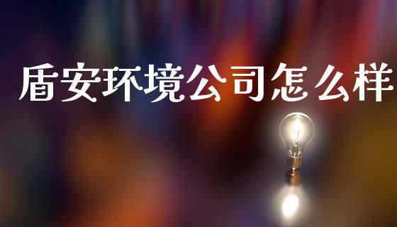 盾安环境公司怎么样_https://m.ycdhulan.com_证券新闻_第1张