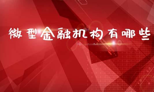 微型金融机构有哪些_https://m.ycdhulan.com_财经要闻_第1张
