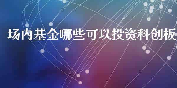 场内基金哪些可以投资科创板_https://m.ycdhulan.com_理财产品_第1张