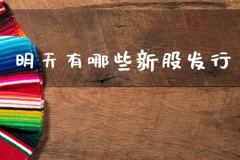 明天有哪些新股发行_https://m.ycdhulan.com_国际金融_第1张
