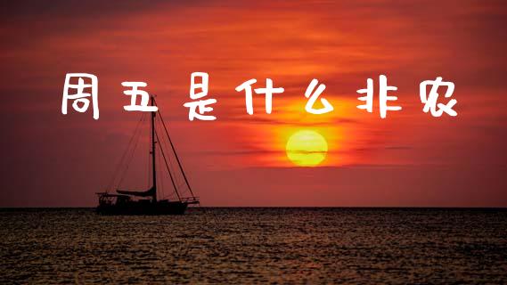 周五是什么非农_https://m.ycdhulan.com_证券新闻_第1张