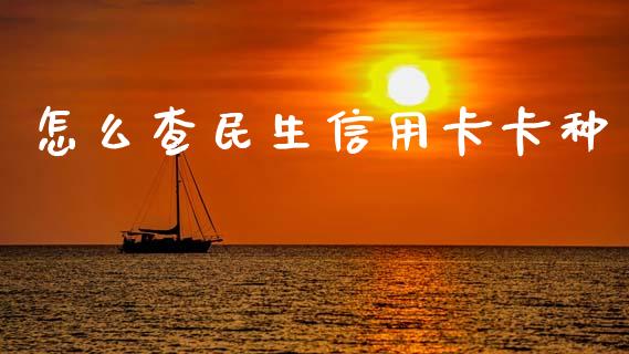 怎么查民生信用卡卡种_https://m.ycdhulan.com_理财产品_第1张