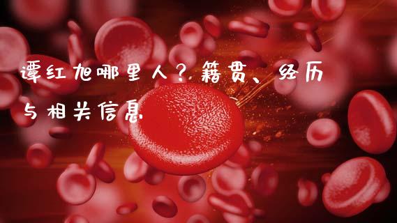 谭红旭哪里人？籍贯、经历与相关信息_https://m.ycdhulan.com_财经要闻_第1张