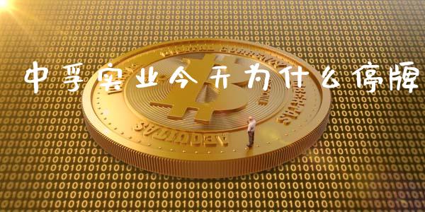 中孚实业今天为什么停牌_https://m.ycdhulan.com_国际金融_第1张