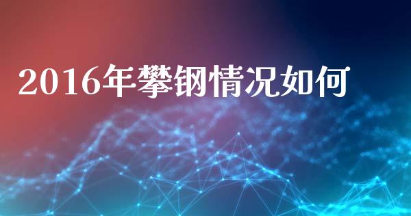 2016年攀钢情况如何_https://m.ycdhulan.com_期货交易_第1张