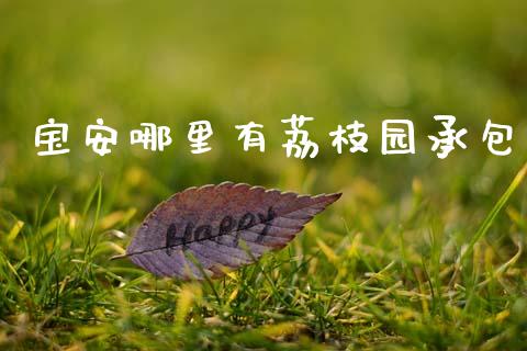 宝安哪里有荔枝园承包_https://m.ycdhulan.com_理财产品_第1张