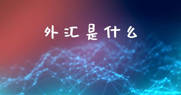 外汇是什么_https://m.ycdhulan.com_国际金融_第1张