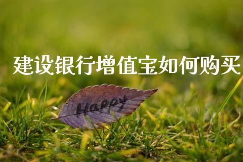 建设银行增值宝如何购买_https://m.ycdhulan.com_股市在线_第1张