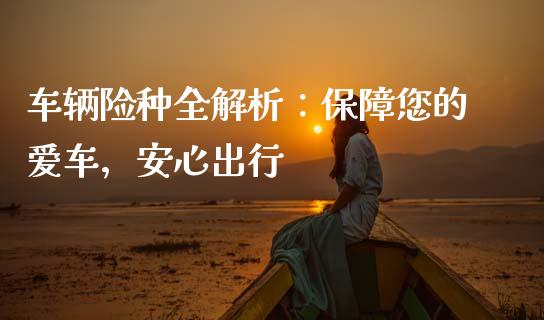 车辆险种全解析：保障您的爱车，安心出行_https://m.ycdhulan.com_理财产品_第1张