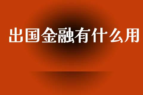 出国金融有什么用_https://m.ycdhulan.com_股市在线_第1张