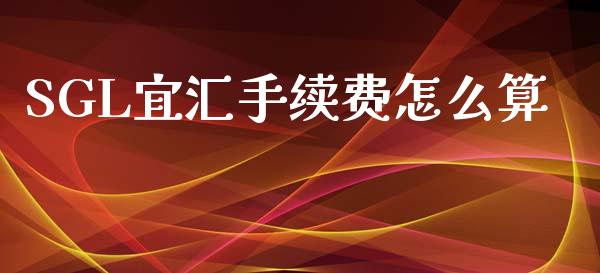 SGL宜汇手续费怎么算_https://m.ycdhulan.com_国际金融_第1张