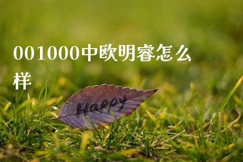 001000中欧明睿怎么样_https://m.ycdhulan.com_股市在线_第1张