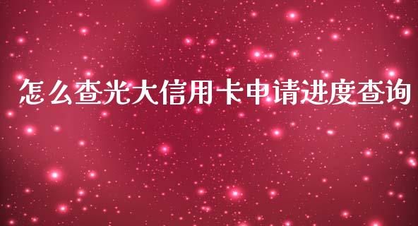 怎么查光大信用卡申请进度查询_https://m.ycdhulan.com_国际金融_第1张