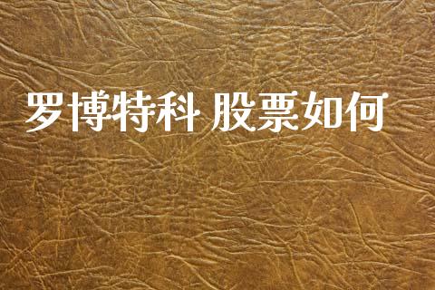 罗博特科 股票如何_https://m.ycdhulan.com_股市在线_第1张