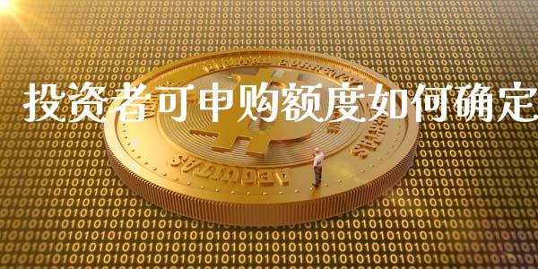 投资者可申购额度如何确定_https://m.ycdhulan.com_财经要闻_第1张