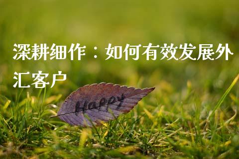 深耕细作：如何有效发展外汇客户_https://m.ycdhulan.com_理财产品_第1张