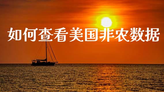 如何查看美国非农数据_https://m.ycdhulan.com_股市在线_第1张