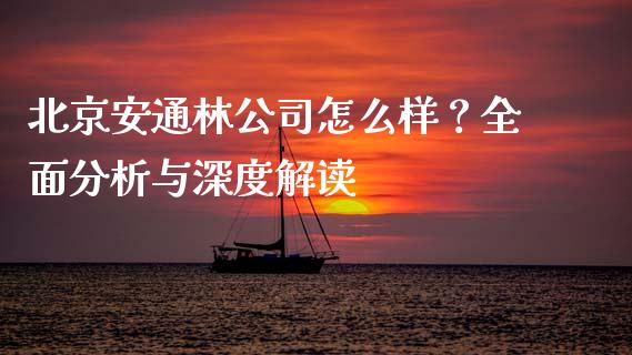 北京安通林公司怎么样？全面分析与深度解读_https://m.ycdhulan.com_期货交易_第1张