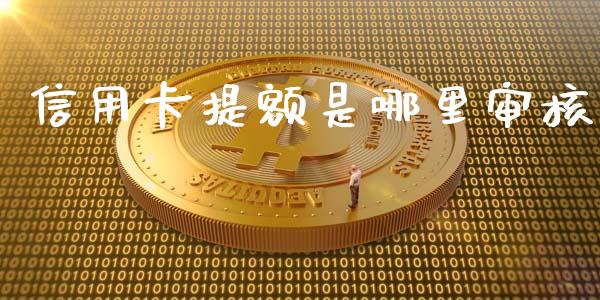 信用卡提额是哪里审核_https://m.ycdhulan.com_财经要闻_第1张