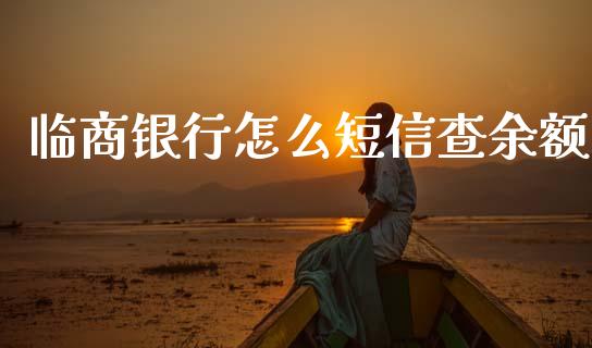 临商银行怎么短信查余额_https://m.ycdhulan.com_财经要闻_第1张