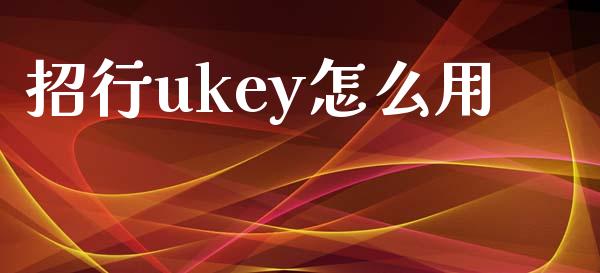 招行ukey怎么用_https://m.ycdhulan.com_理财产品_第1张
