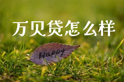 万贝贷怎么样_https://m.ycdhulan.com_国际金融_第1张