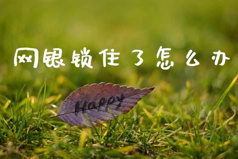 网银锁住了怎么办_https://m.ycdhulan.com_财经要闻_第1张