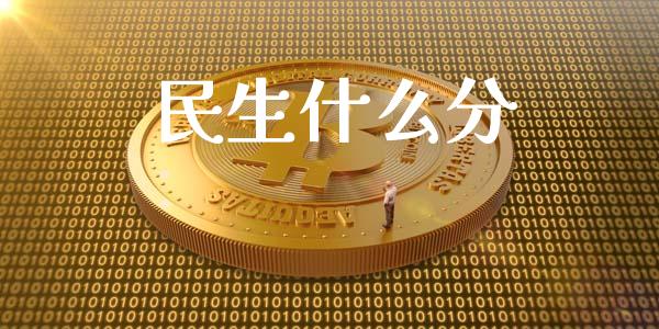 民生什么分_https://m.ycdhulan.com_财经要闻_第1张