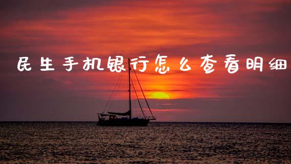 民生手机银行怎么查看明细_https://m.ycdhulan.com_理财产品_第1张