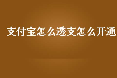 支付宝怎么透支怎么开通_https://m.ycdhulan.com_财经要闻_第1张