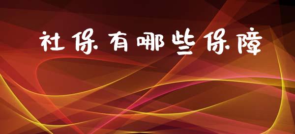 社保有哪些保障_https://m.ycdhulan.com_理财产品_第1张