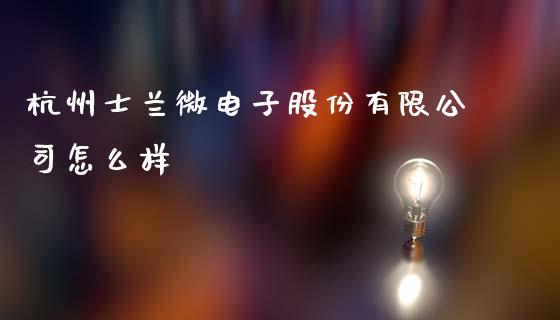 杭州士兰微电子股份有限公司怎么样_https://m.ycdhulan.com_股市在线_第1张