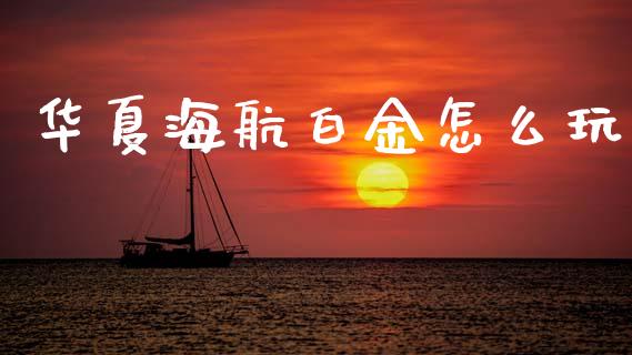 华夏海航白金怎么玩_https://m.ycdhulan.com_国际金融_第1张