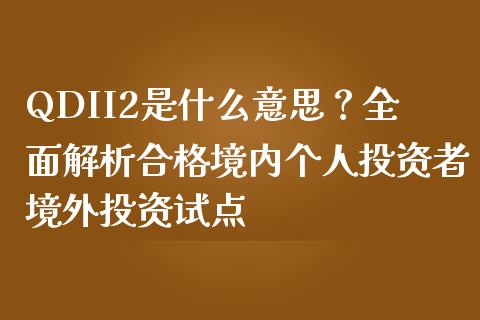 QDII2是什么意思？全面解析合格境内个人投资者境外投资试点_https://m.ycdhulan.com_理财产品_第1张