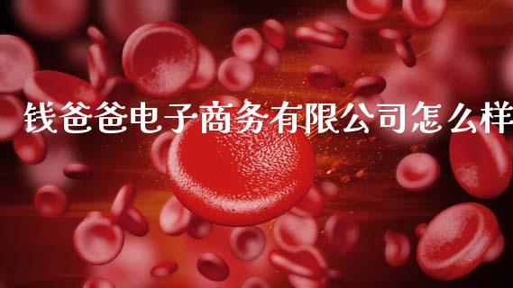 钱爸爸电子商务有限公司怎么样_https://m.ycdhulan.com_国际金融_第1张
