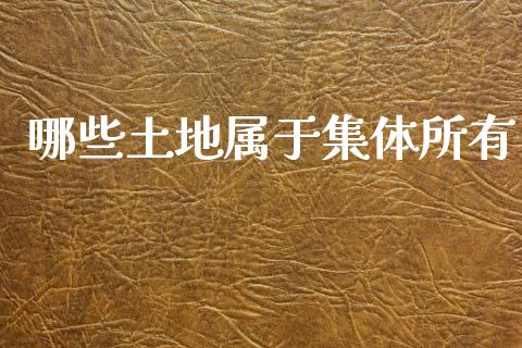哪些土地属于集体所有_https://m.ycdhulan.com_理财产品_第1张