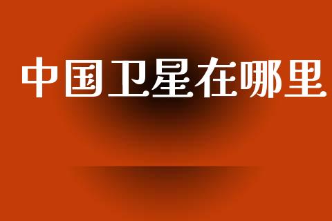中国卫星在哪里_https://m.ycdhulan.com_证券新闻_第1张