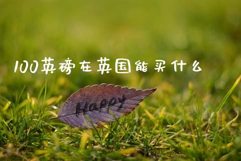 100英磅在英国能买什么_https://m.ycdhulan.com_财经要闻_第1张