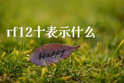rf12十表示什么_https://m.ycdhulan.com_期货交易_第1张