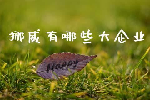 挪威有哪些大企业_https://m.ycdhulan.com_财经要闻_第1张