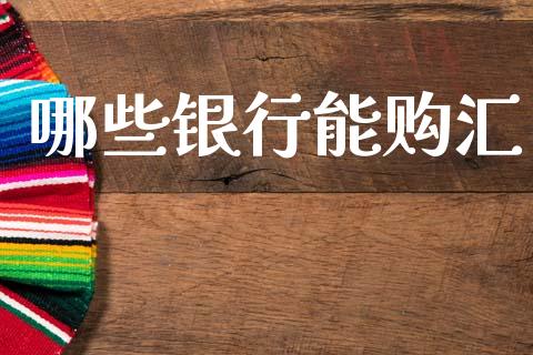 哪些银行能购汇_https://m.ycdhulan.com_财经要闻_第1张