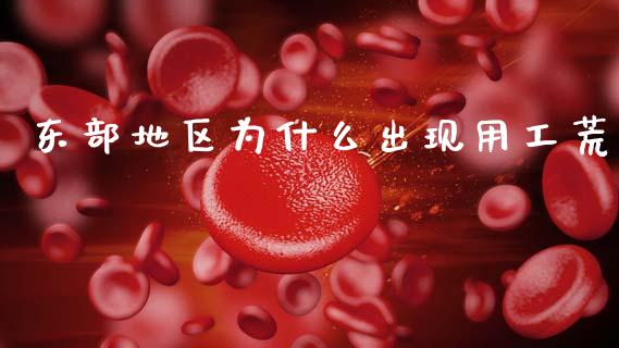 东部地区为什么出现用工荒_https://m.ycdhulan.com_国际金融_第1张