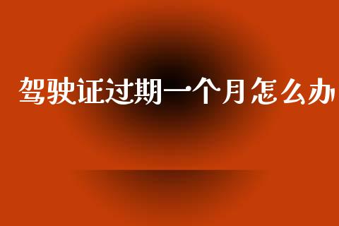 驾驶证过期一个月怎么办_https://m.ycdhulan.com_财经要闻_第1张